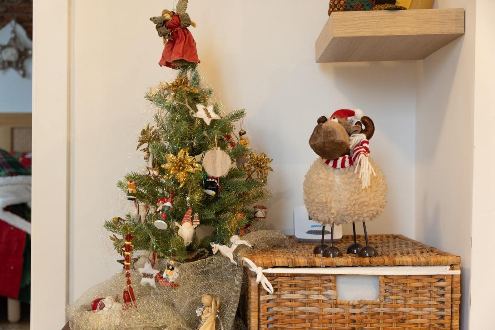 Sweet Cozy Ultracentral Craiova Dış mekan fotoğraf